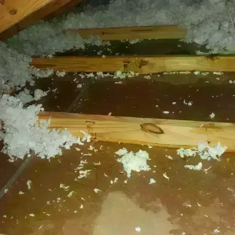 Attic Water Damage in El Valle de Arroyo Seco, NM